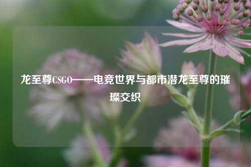 龙至尊CSGO——电竞世界与都市潜龙至尊的璀璨交织