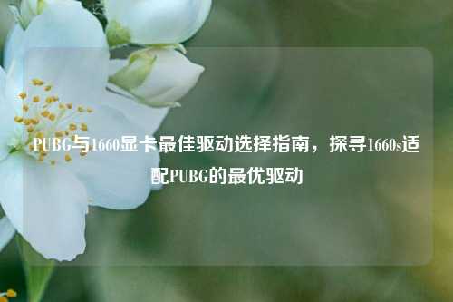 PUBG与1660显卡最佳驱动选择指南，探寻1660s适配PUBG的最优驱动