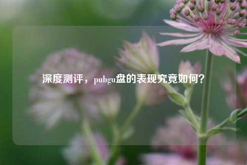 深度测评，pubgu盘的表现究竟如何？