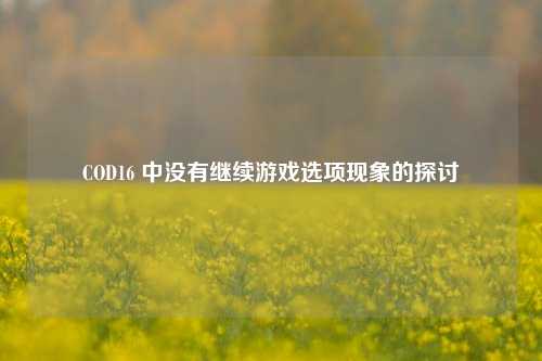 COD16 中没有继续游戏选项现象的探讨