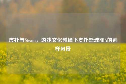 虎扑与Steam，游戏文化碰撞下虎扑篮球NBA的别样风景