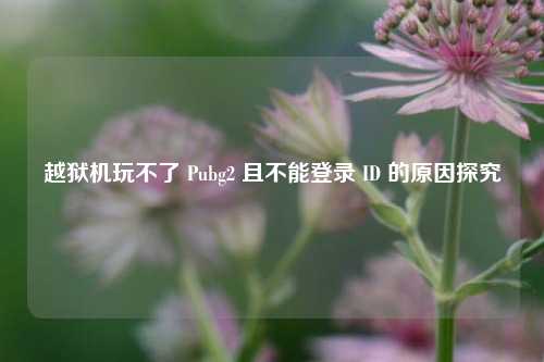 越狱机玩不了 Pubg2 且不能登录 ID 的原因探究