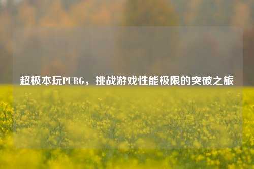 超极本玩PUBG，挑战游戏性能极限的突破之旅