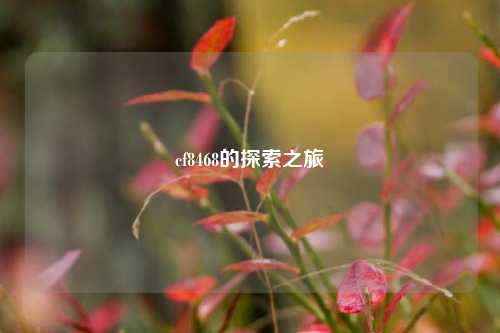 cf8468的探索之旅