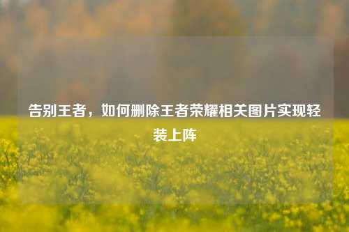 告别王者，如何删除王者荣耀相关图片实现轻装上阵