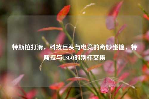 特斯拉打滑，科技巨头与电竞的奇妙碰撞，特斯拉与CSGO的别样交集