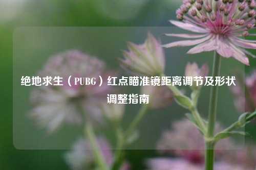 绝地求生（PUBG）红点瞄准镜距离调节及形状调整指南