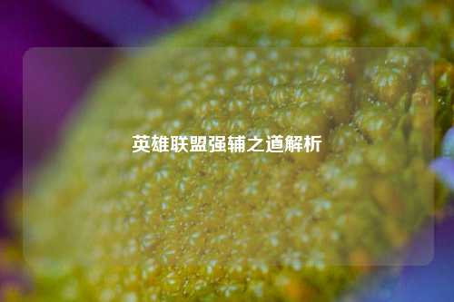 英雄联盟强辅之道解析