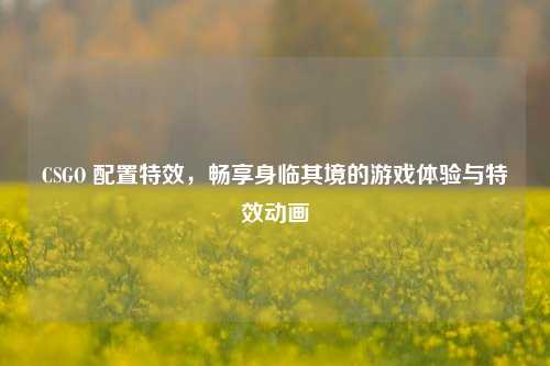 CSGO 配置特效，畅享身临其境的游戏体验与特效动画