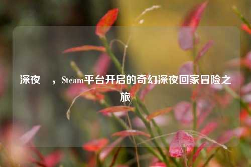 深夜迴，Steam平台开启的奇幻深夜回家冒险之旅