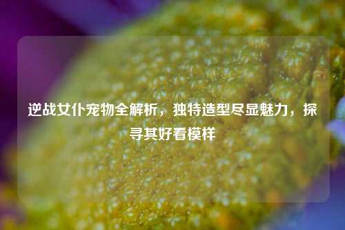 逆战女仆宠物全解析，独特造型尽显魅力，探寻其好看模样