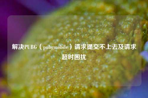 解决PUBG（pubgmobile）请求提交不上去及请求超时困扰