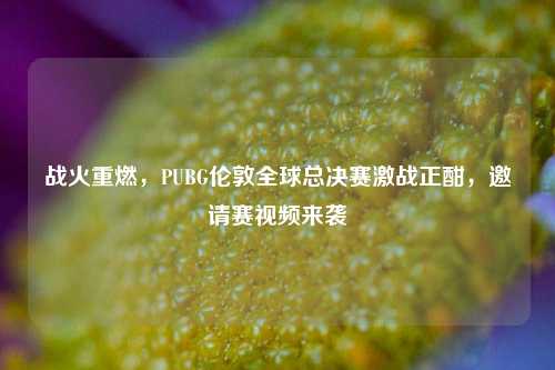 战火重燃，PUBG伦敦全球总决赛激战正酣，邀请赛视频来袭