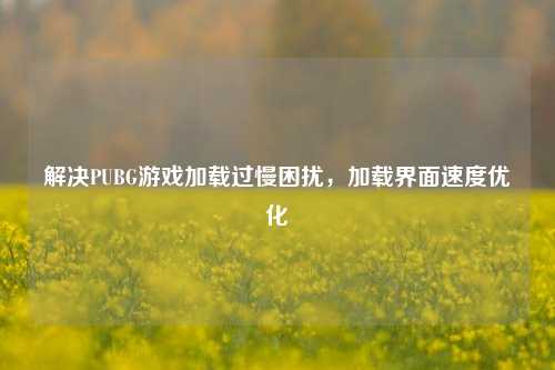 解决PUBG游戏加载过慢困扰，加载界面速度优化
