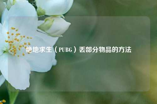 绝地求生（PUBG）丢部分物品的方法