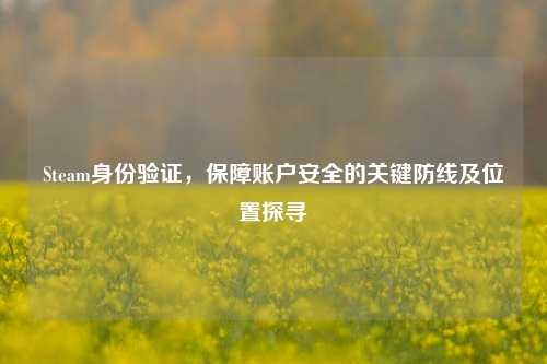 Steam身份验证，保障账户安全的关键防线及位置探寻