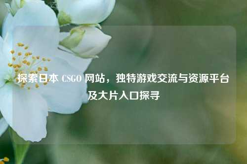 探索日本 CSGO 网站，独特游戏交流与资源平台及大片入口探寻