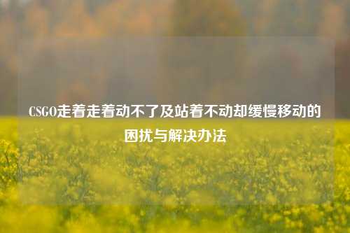 CSGO走着走着动不了及站着不动却缓慢移动的困扰与解决办法