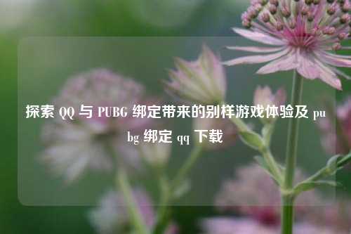探索 QQ 与 PUBG 绑定带来的别样游戏体验及 pubg 绑定 qq 下载