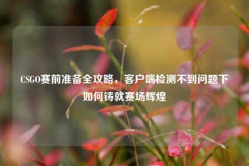 CSGO赛前准备全攻略，客户端检测不到问题下如何铸就赛场辉煌