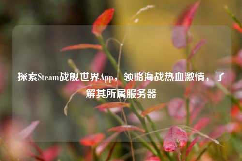 探索Steam战舰世界App，领略海战热血激情，了解其所属服务器