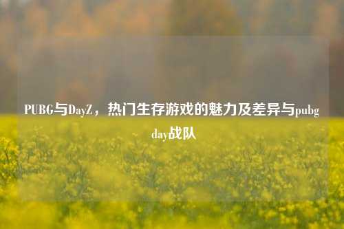 PUBG与DayZ，热门生存游戏的魅力及差异与pubg day战队