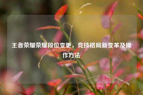 王者荣耀荣耀段位变更，竞技格局新变革及操作方法