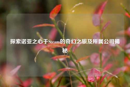 探索诺亚之心于Steam的奇幻之旅及所属公司揭秘