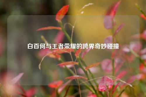白百何与王者荣耀的跨界奇妙碰撞