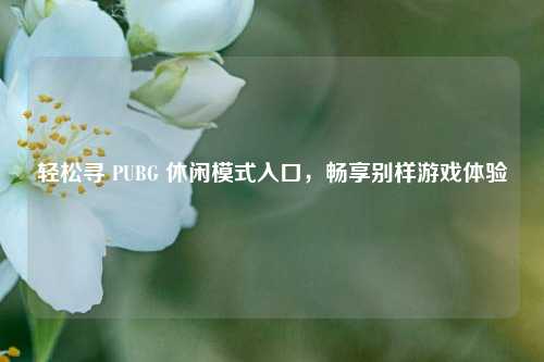 轻松寻 PUBG 休闲模式入口，畅享别样游戏体验