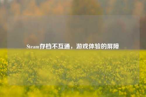 Steam存档不互通，游戏体验的屏障