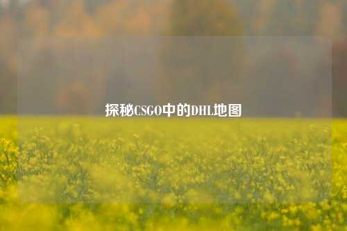 探秘CSGO中的DHL地图