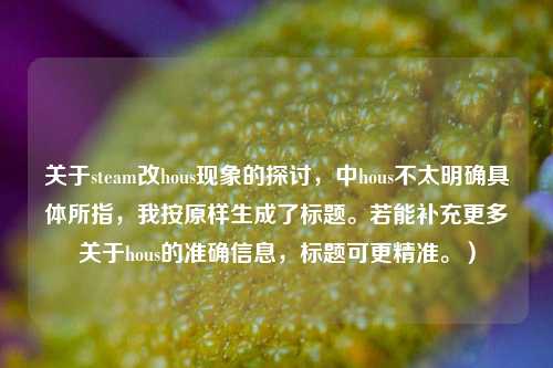 关于steam改hous现象的探讨，中hous不太明确具体所指，我按原样生成了标题。若能补充更多关于hous的准确信息，标题可更精准。）