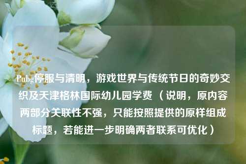 Pubg停服与清明，游戏世界与传统节日的奇妙交织及天津格林国际幼儿园学费 （说明，原内容两部分关联性不强，只能按照提供的原样组成标题，若能进一步明确两者联系可优化）