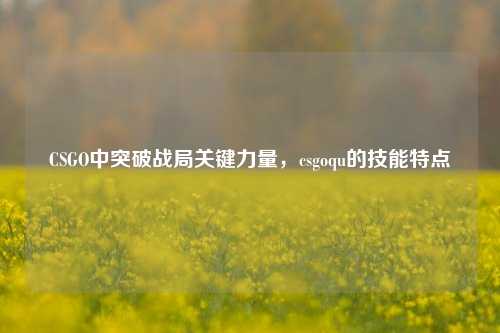 CSGO中突破战局关键力量，csgoqu的技能特点
