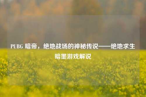 PUBG 暗帝，绝地战场的神秘传说——绝地求生暗墨游戏解说
