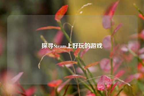 探寻Steam上好玩的游戏