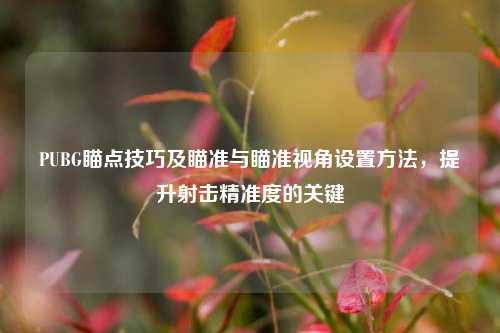 PUBG瞄点技巧及瞄准与瞄准视角设置方法，提升射击精准度的关键