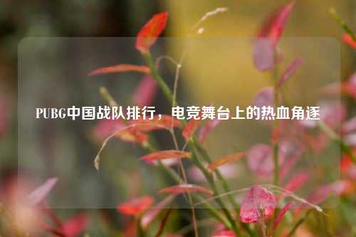 PUBG中国战队排行，电竞舞台上的热血角逐