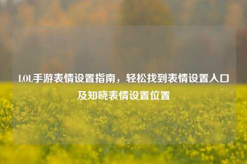 LOL手游表情设置指南，轻松找到表情设置入口及知晓表情设置位置