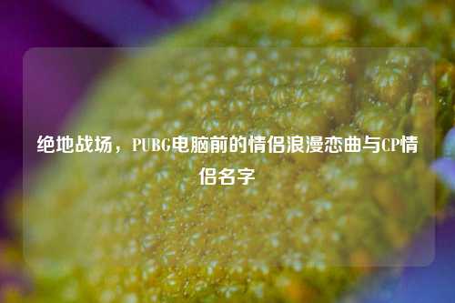 绝地战场，PUBG电脑前的情侣浪漫恋曲与CP情侣名字