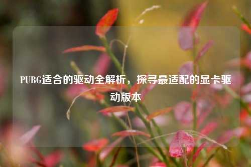 PUBG适合的驱动全解析，探寻最适配的显卡驱动版本