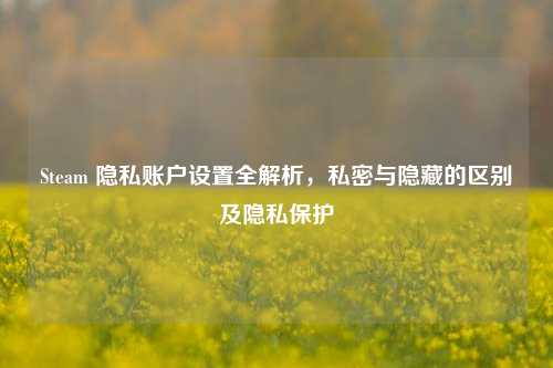 Steam 隐私账户设置全解析，私密与隐藏的区别及隐私保护