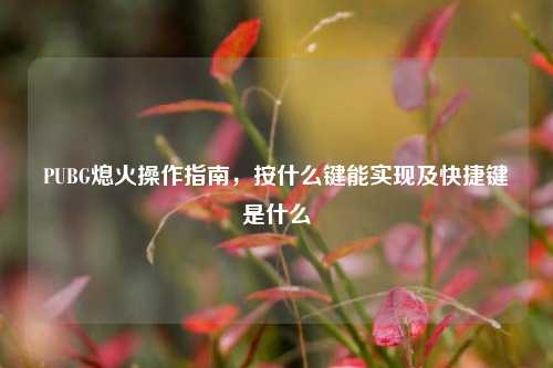 PUBG熄火操作指南，按什么键能实现及快捷键是什么