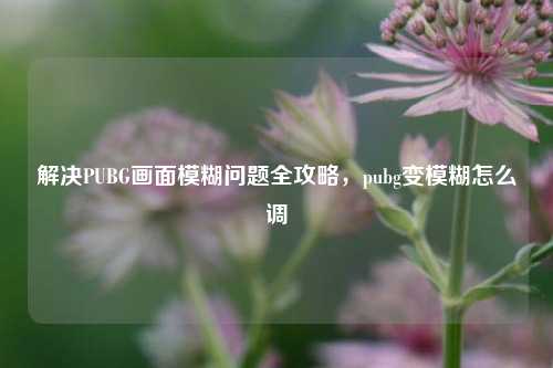 解决PUBG画面模糊问题全攻略，pubg变模糊怎么调