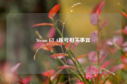 Steam GT A账号相关事宜