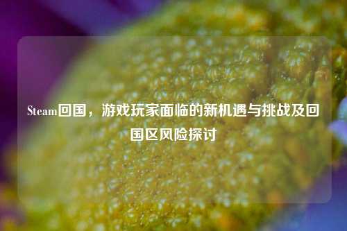 Steam回国，游戏玩家面临的新机遇与挑战及回国区风险探讨