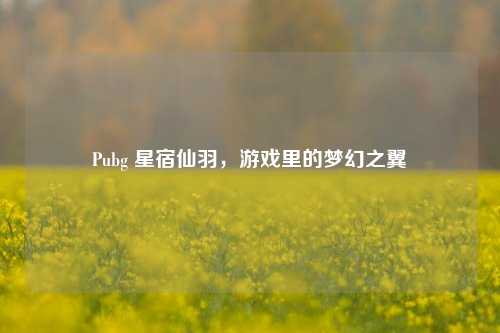 Pubg 星宿仙羽，游戏里的梦幻之翼