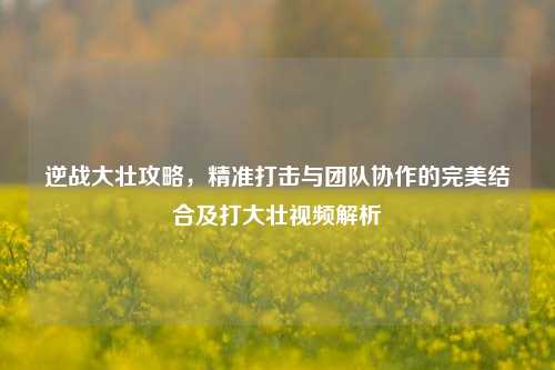 逆战大壮攻略，精准打击与团队协作的完美结合及打大壮视频解析