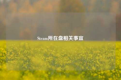 Steam所在盘相关事宜